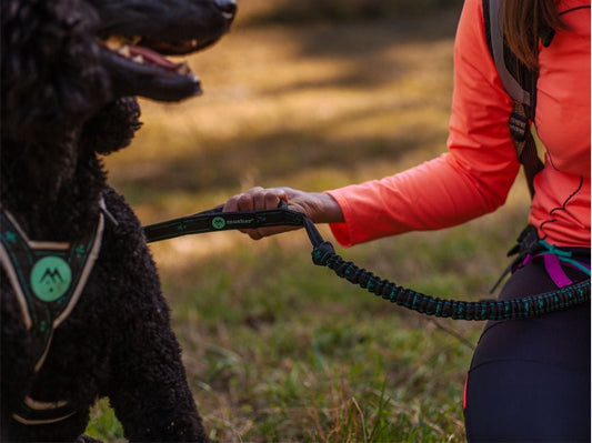 musher ANVIK Bungee - 1 Dog