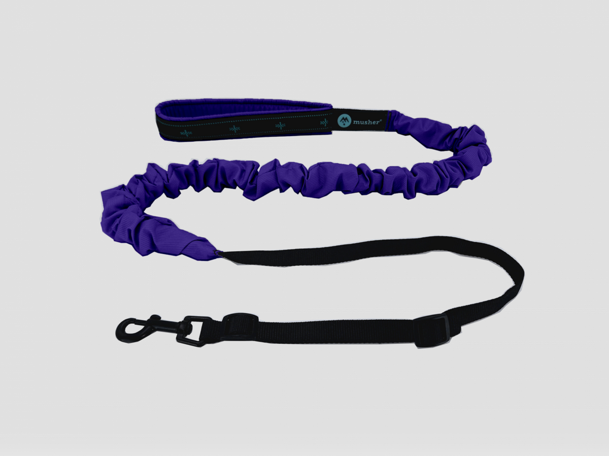FREESPIRIT bungee leash for small dogs