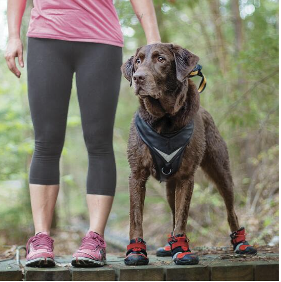 Kurgo Blaze Cross Dog Shoes