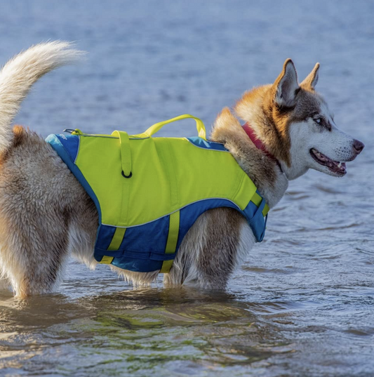 Kurgo Life Jacket