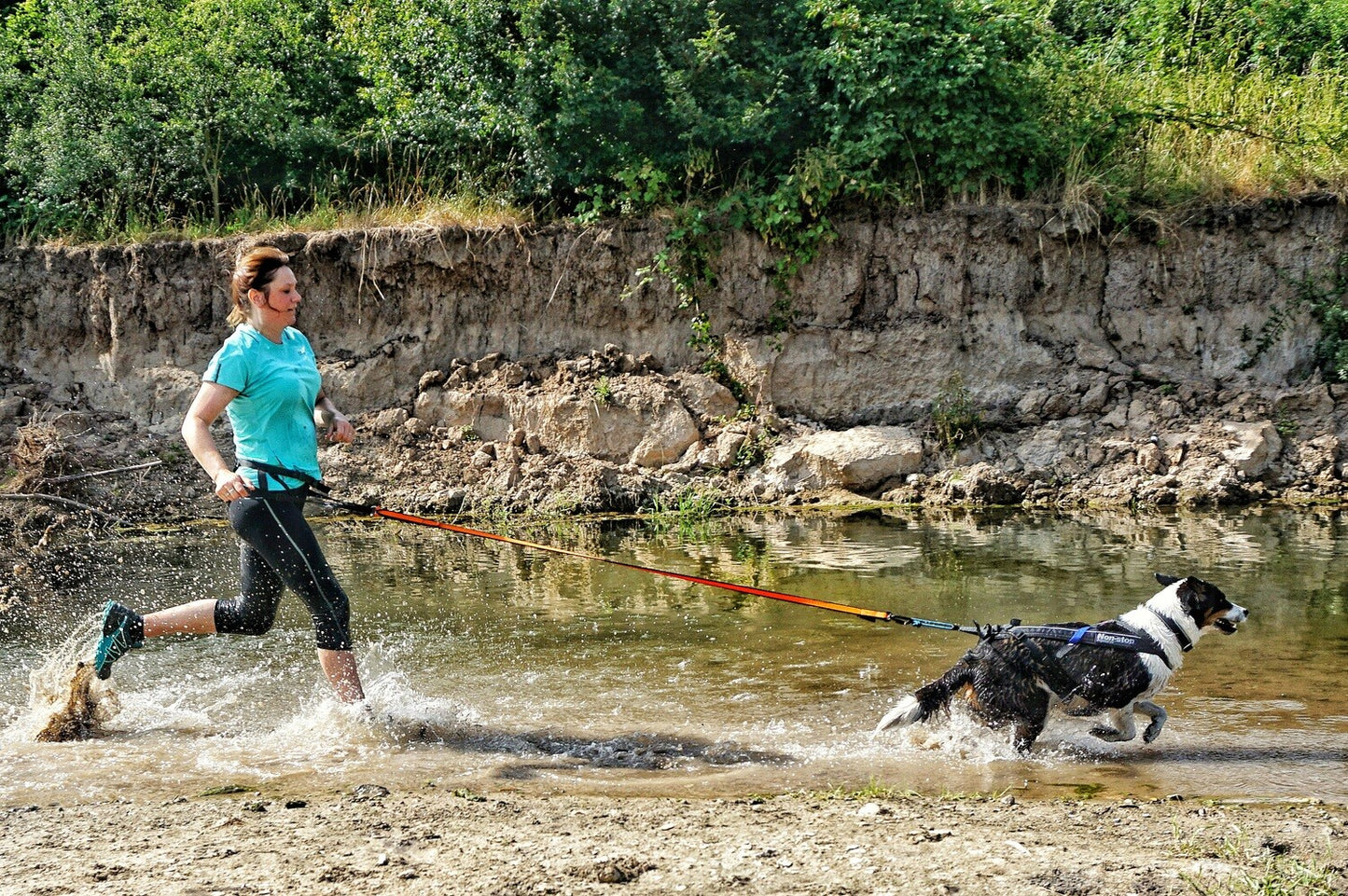Non-stop Bungee Leash