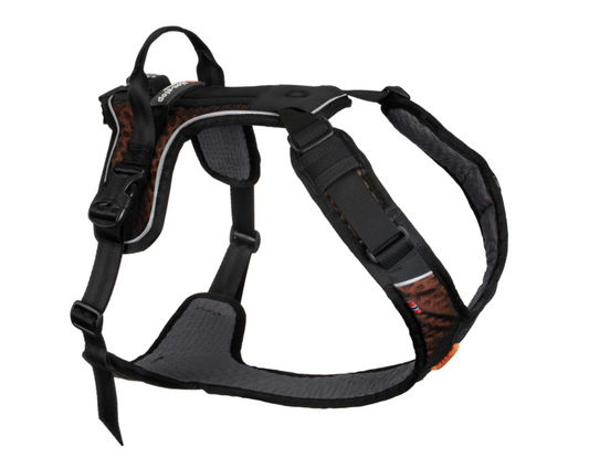 Non-stop Rock Harness
