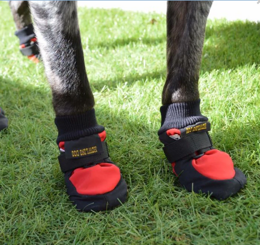 Howling Dog Protector Booties