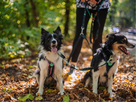 musher KOYUK Neckline