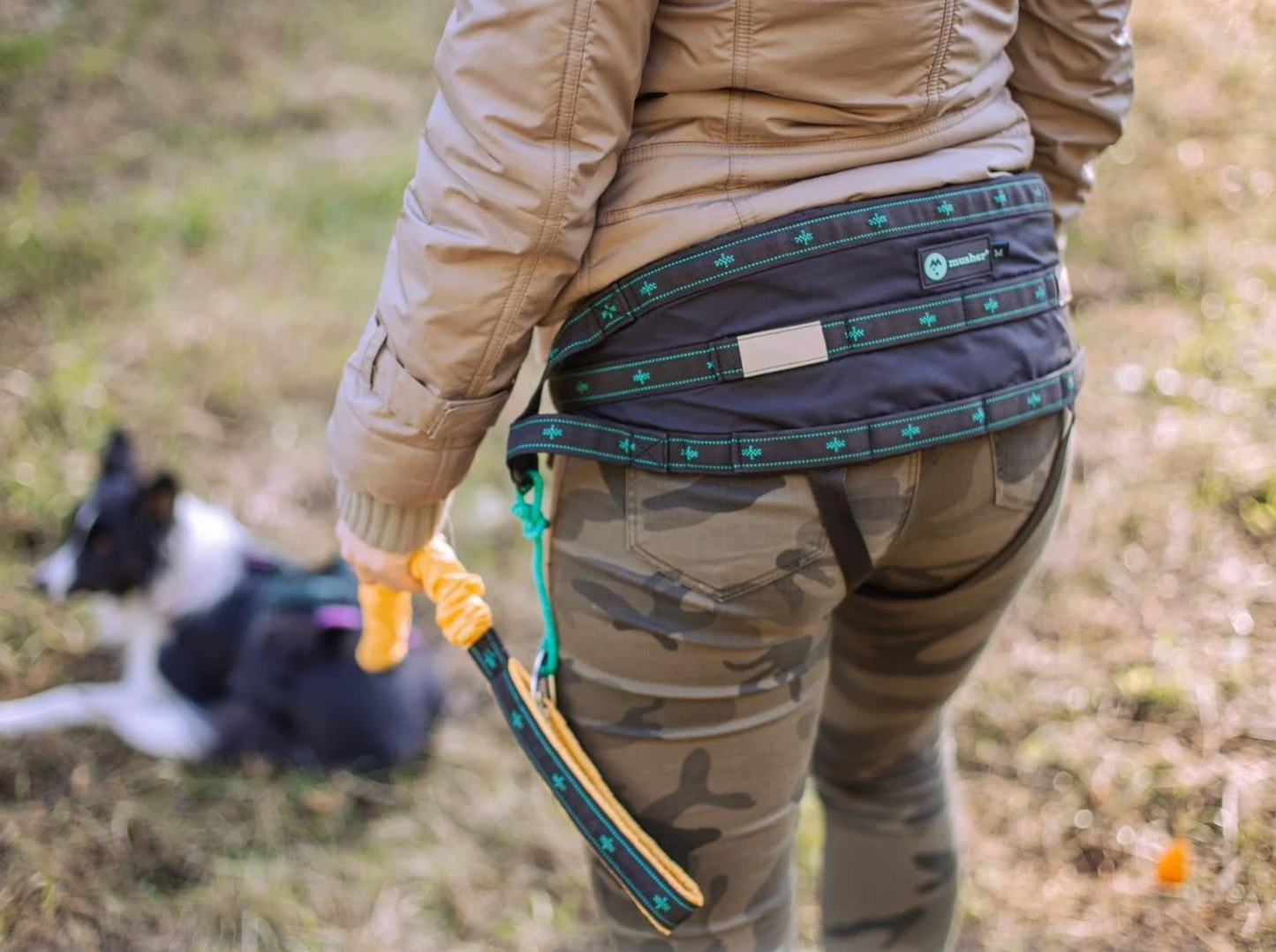 musher BALANCE Belt