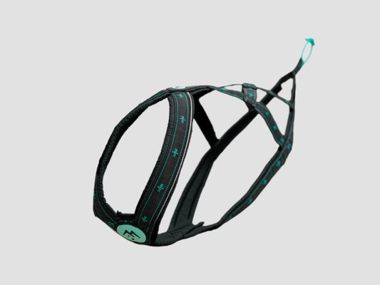 musher TAKOTNA Harness