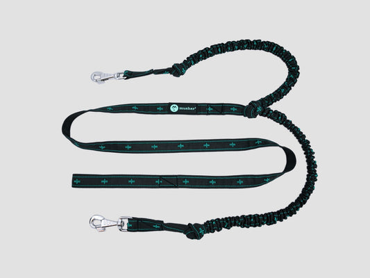 musher ANVIK Bungee - 2 Dogs
