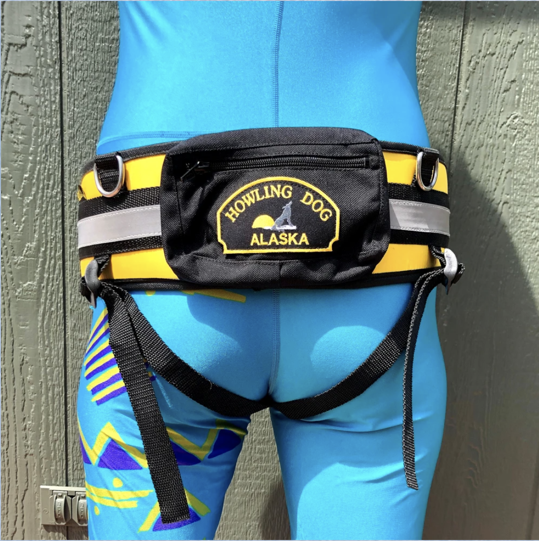 Howling Dog CaniSki Belt