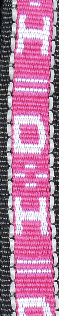 Howling Dog Distance Harness