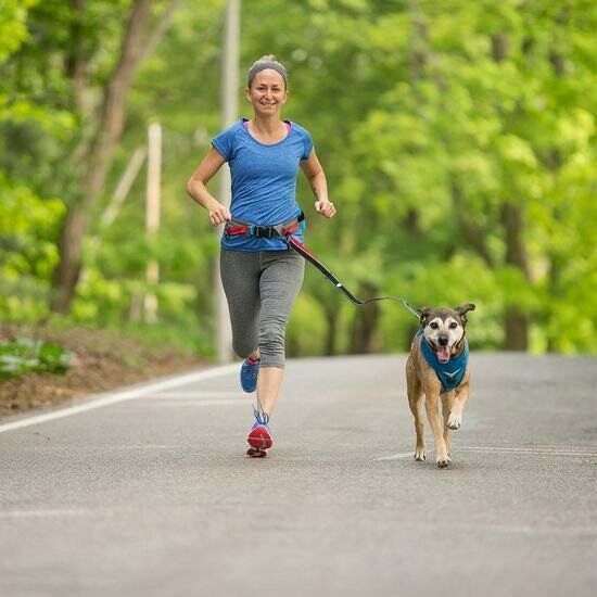 Kurgo K9 Excursion Running Belt