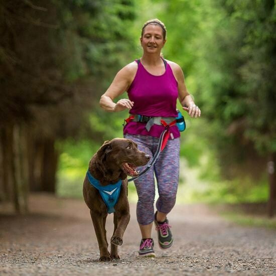 Kurgo K9 Excursion Running Belt