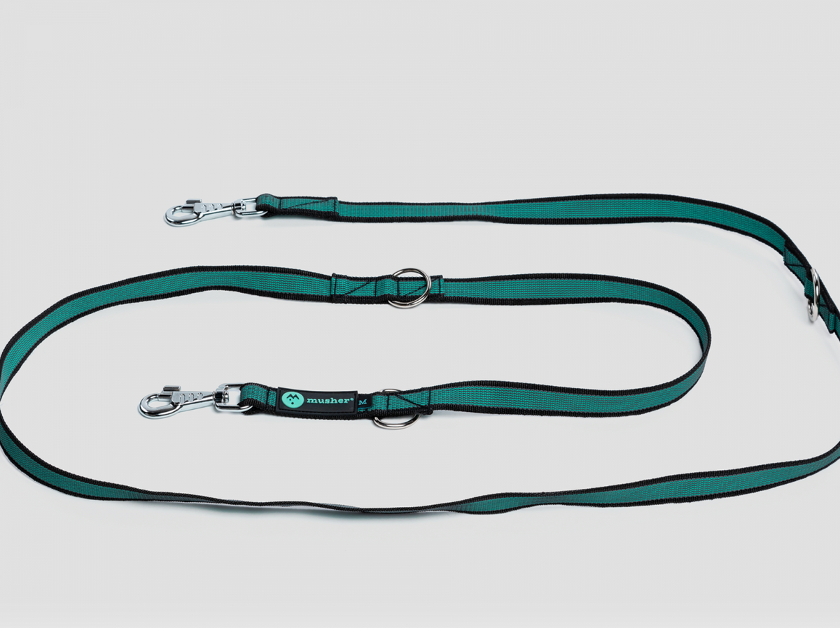 PAWTRAIL Rubbit Vario Leash