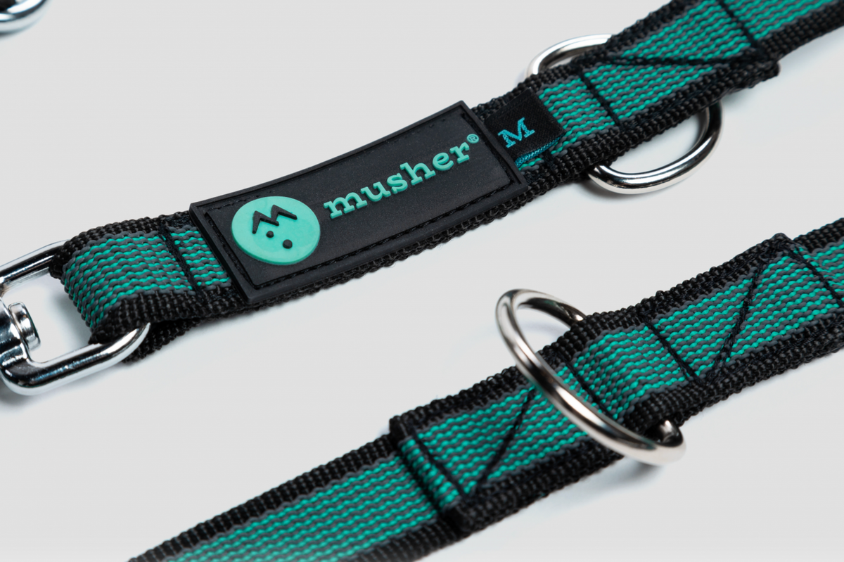 PAWTRAIL Rubbit Vario Leash