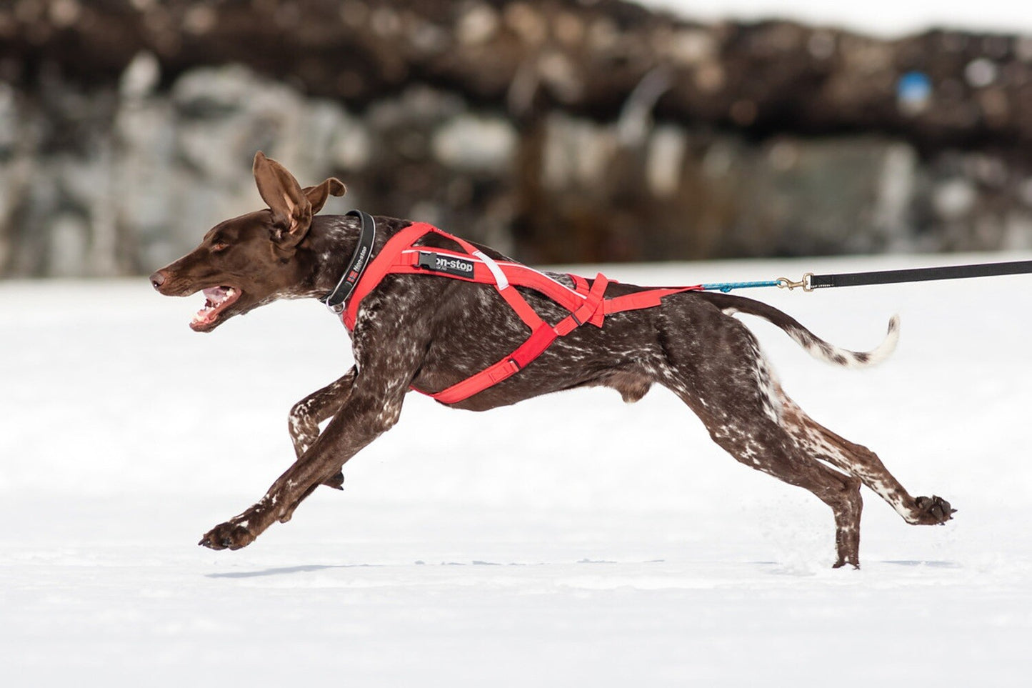 Non-stop Combined Harness