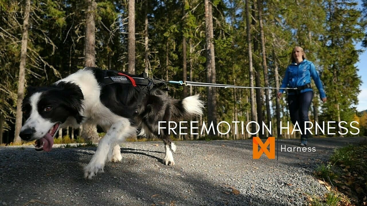Non-stop Freemotion Harness