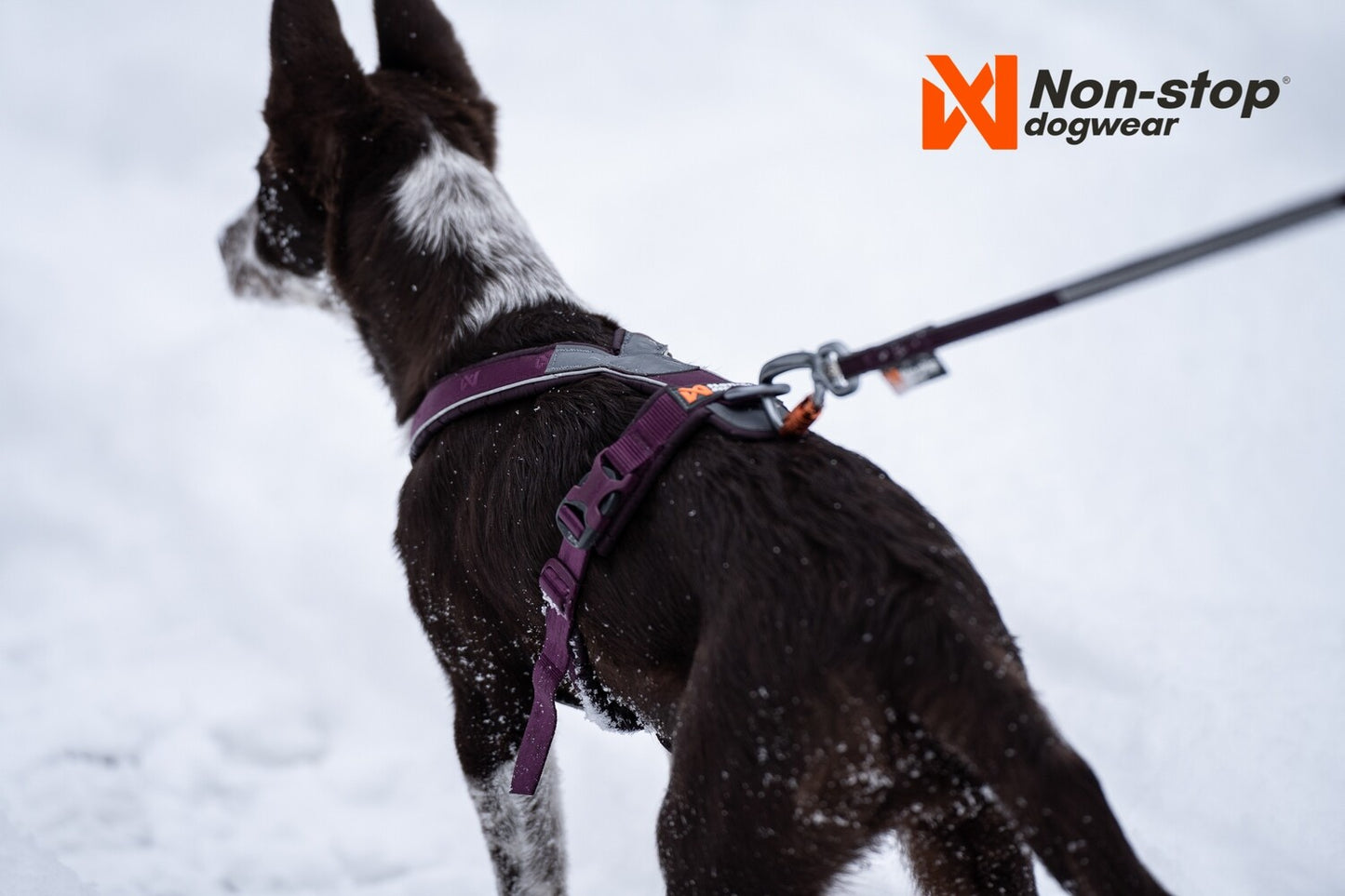 Non-stop Line Harness 5.0
