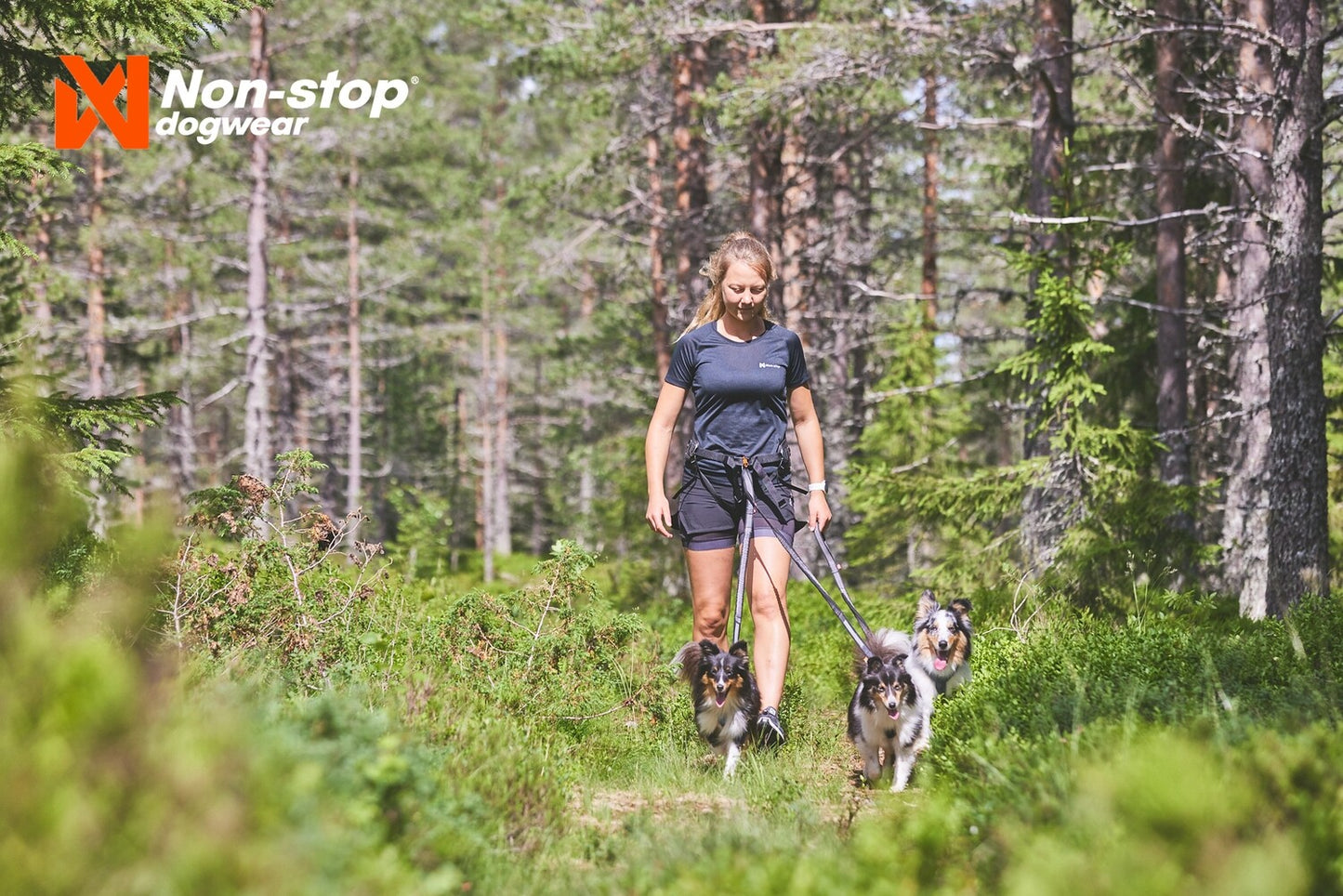 Non-stop Line Harness 5.0