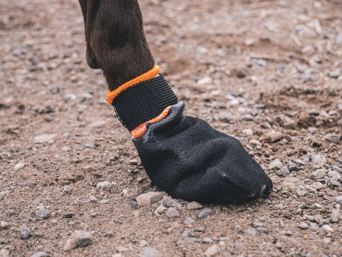 Non-stop Protector Bootie