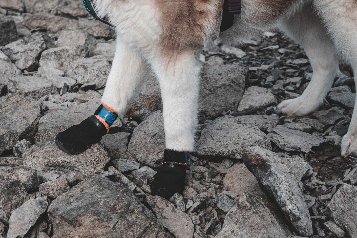 Non-stop Protector Bootie