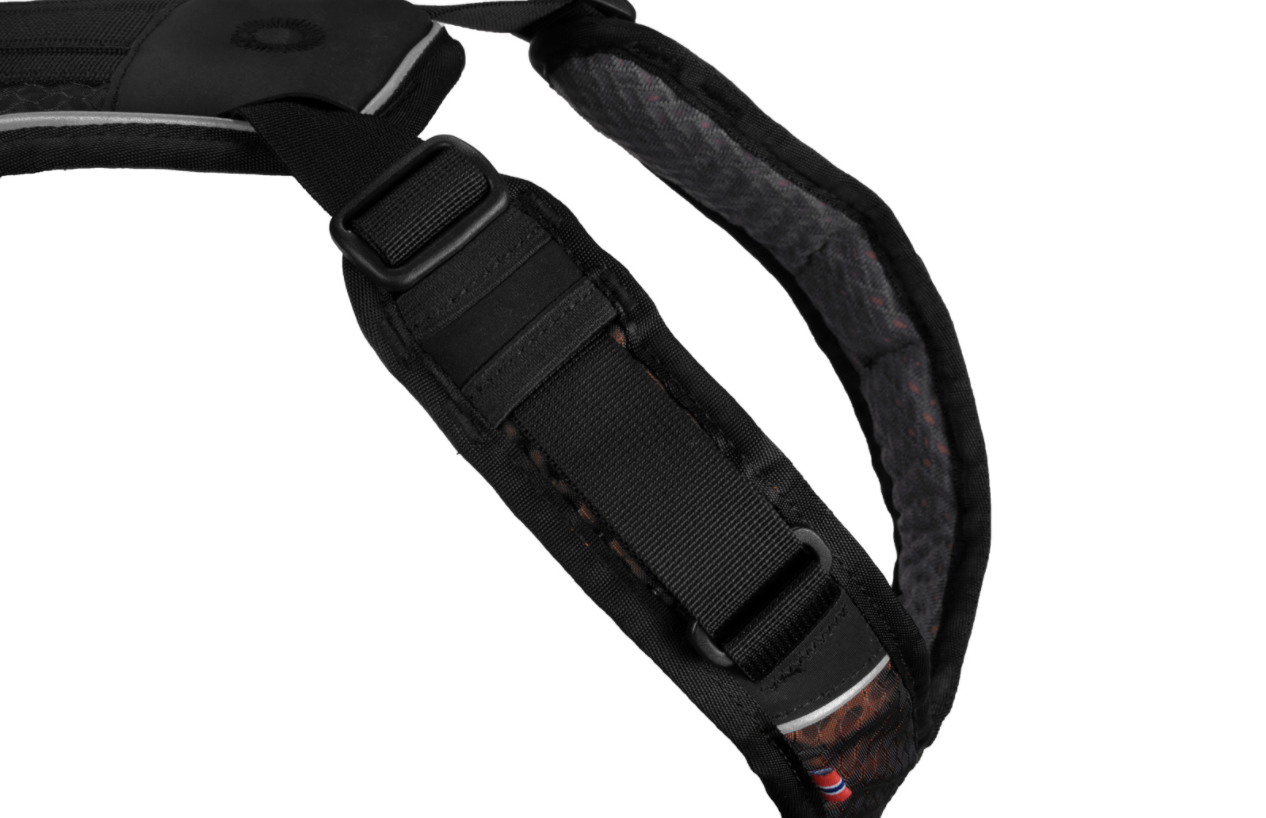Non-stop Rock Harness