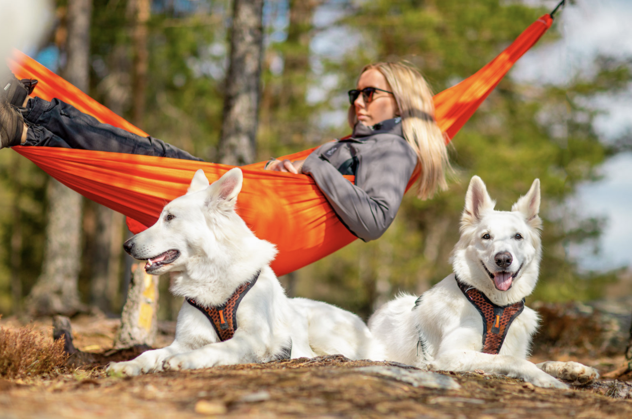 Non-stop Rock Harness