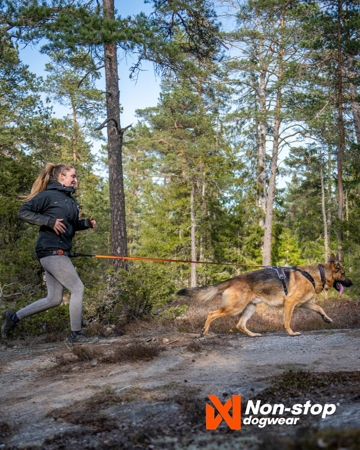 Non-stop Rock Harness