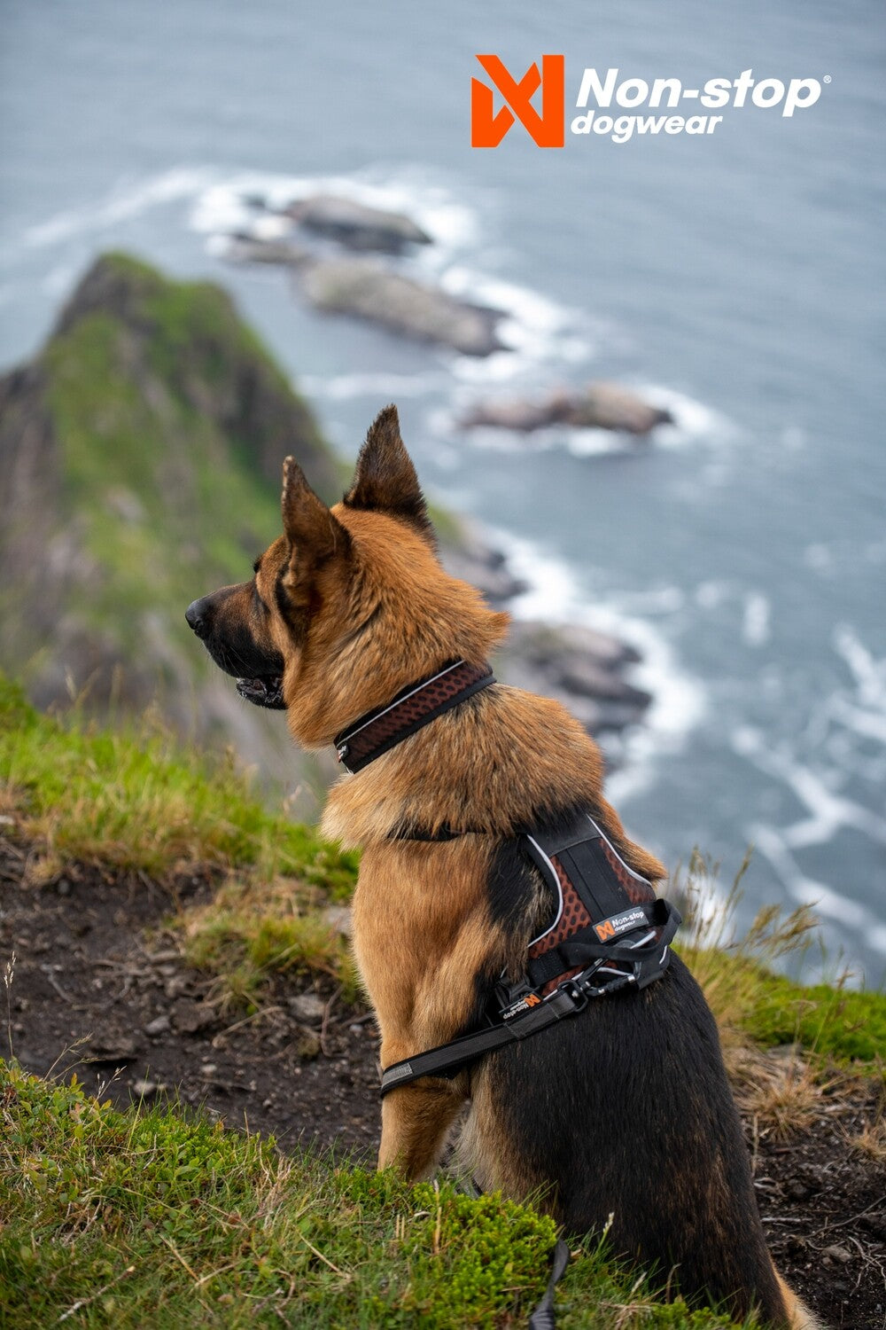 Non-stop Rock Harness