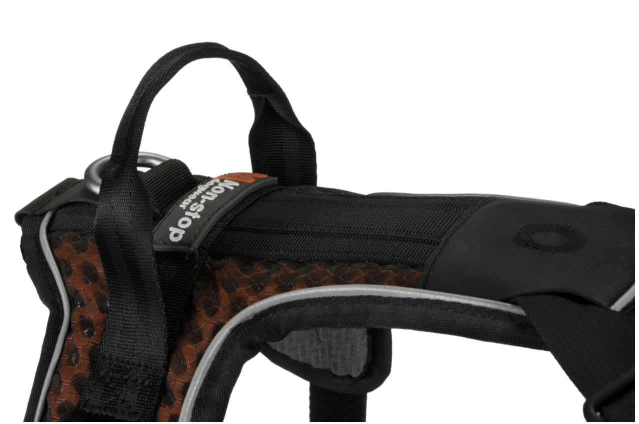 Non-stop Rock Harness