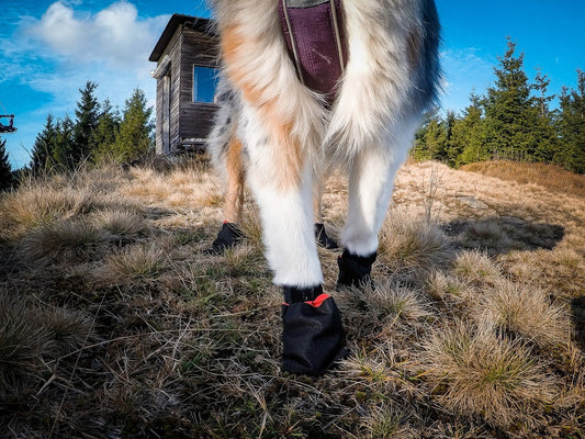Non-stop Solid Sock