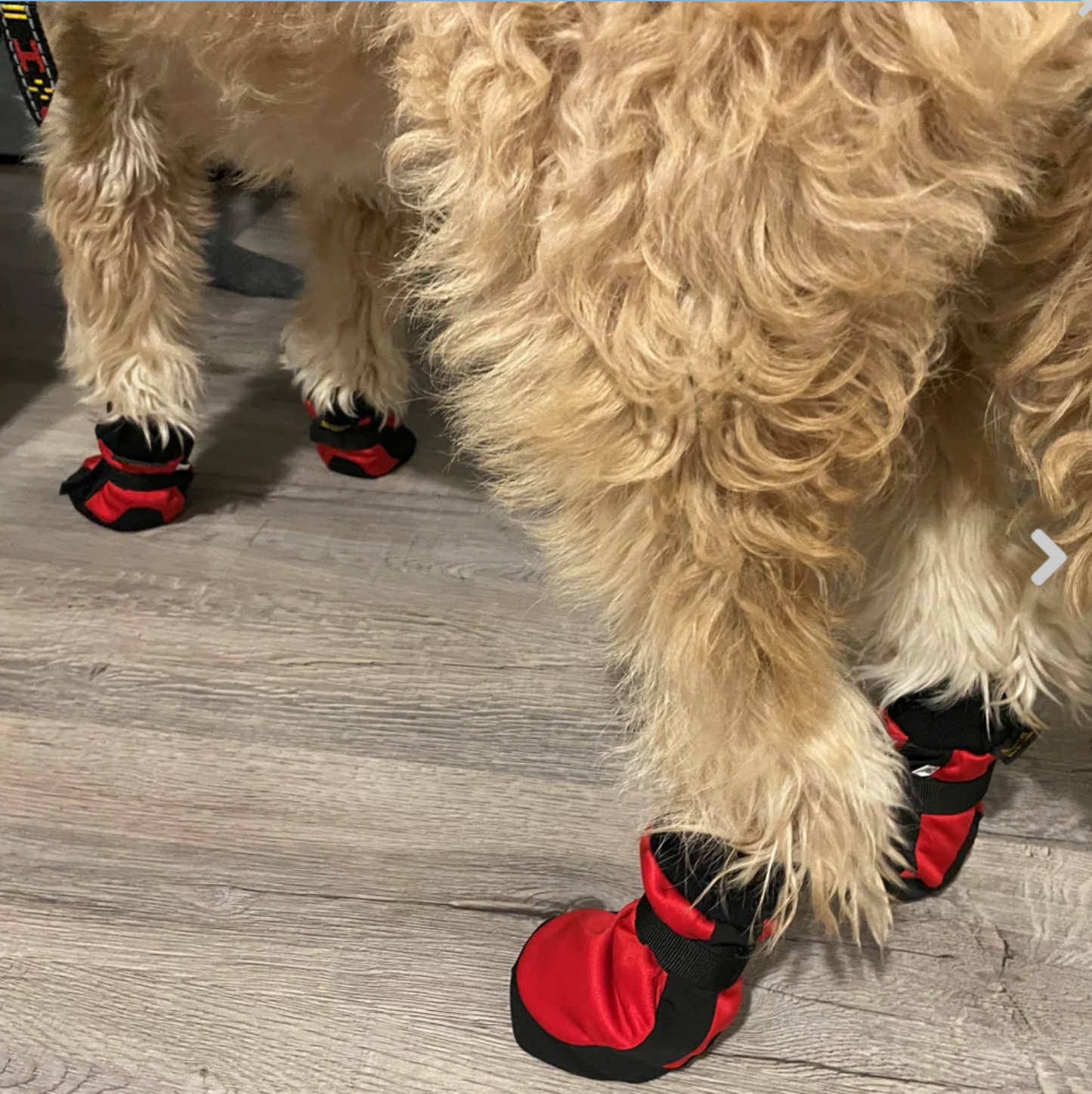 Howling Dog Protector Booties