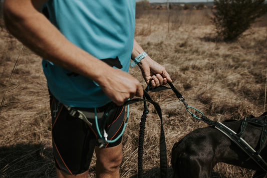musher ANVIK Bungee DT