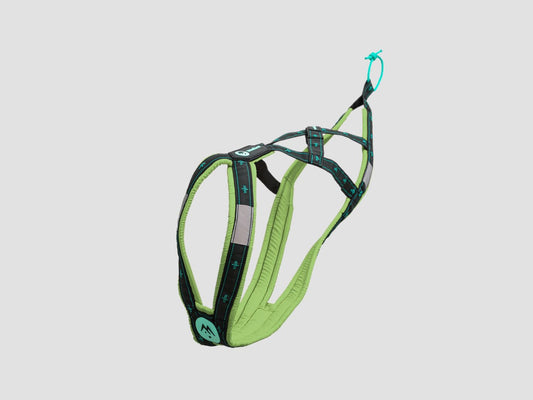 musher ANVIK Harness