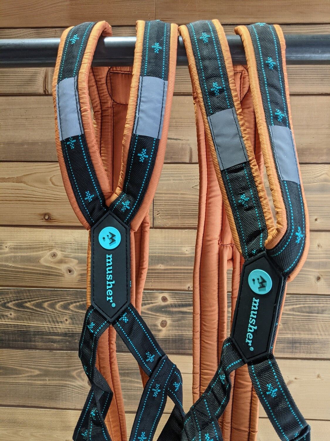 musher ANVIK Harness