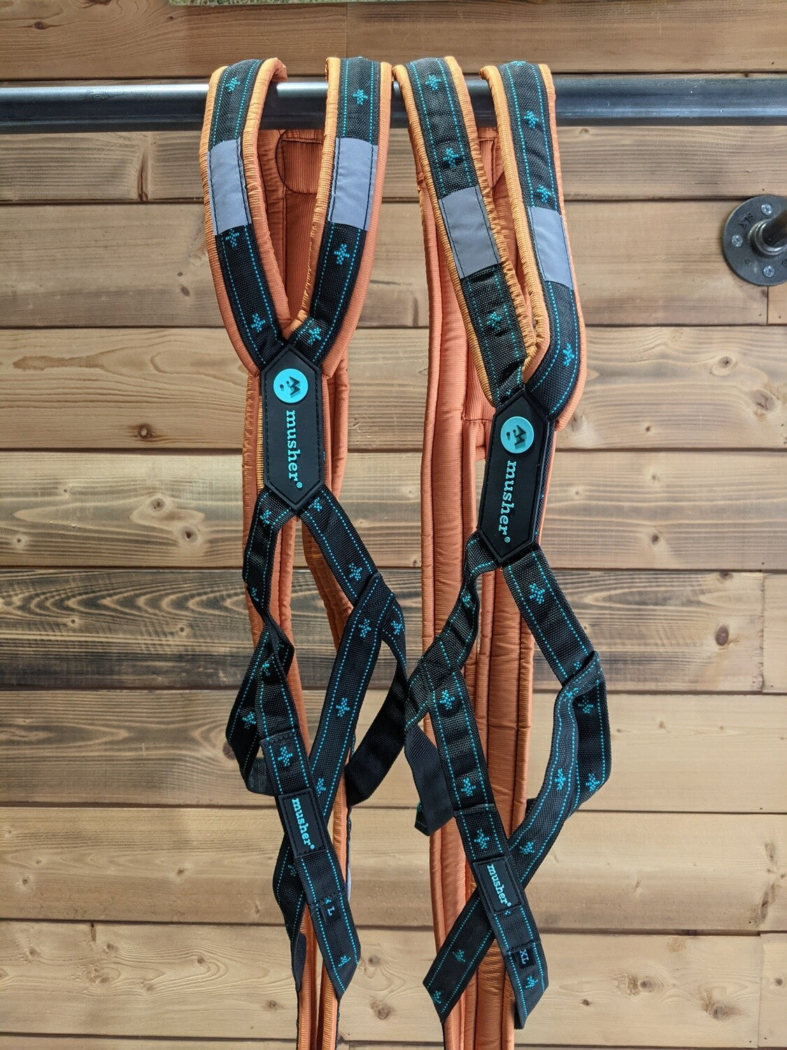 musher ANVIK Harness