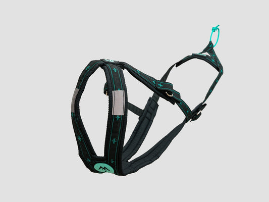 musher BALANCE Harness