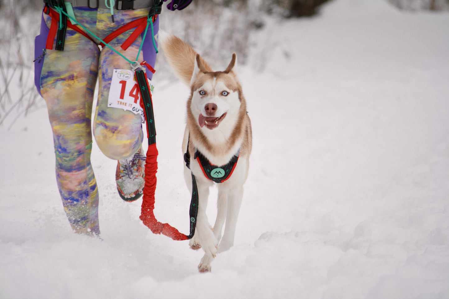 musher FREESPIRIT Bungee