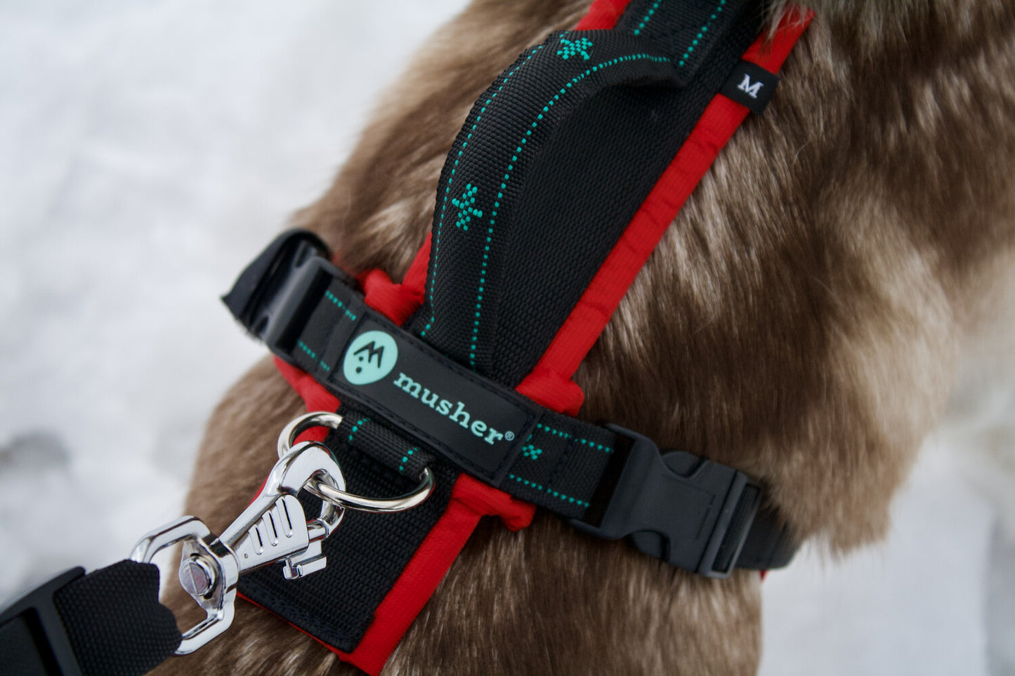 musher FREESPIRIT Harness