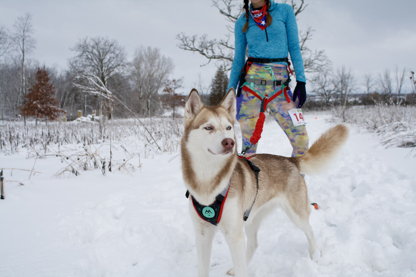 musher FREESPIRIT Harness