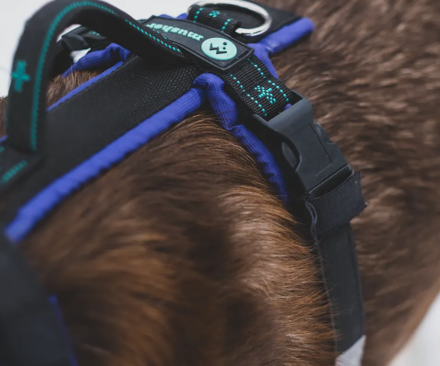 musher FREESPIRIT Harness