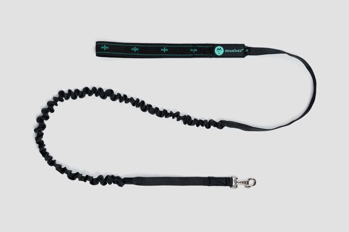 musher KOYUK Bungee small dog