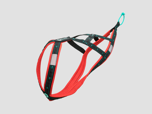 musher KOYUK Harness