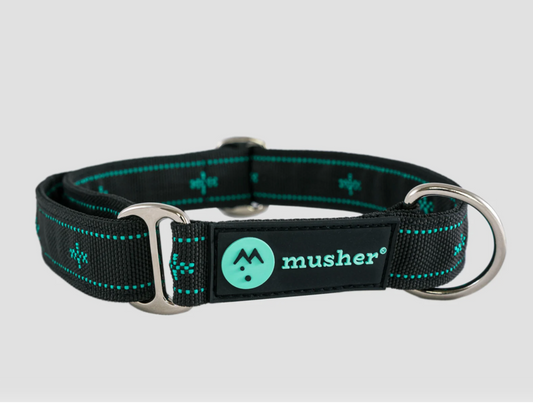 musher KOYUK collar