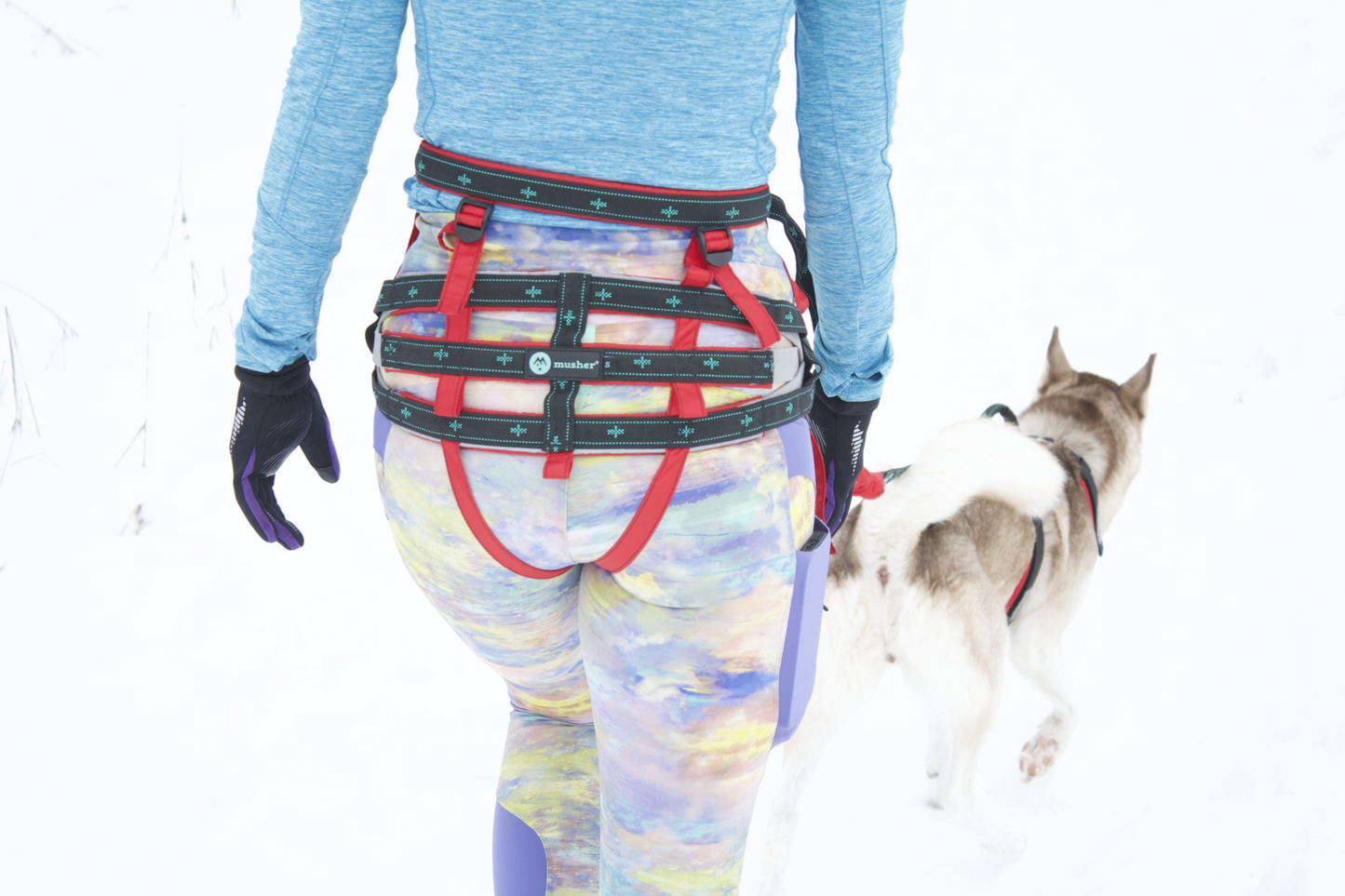 musher TAKOTNA Belt