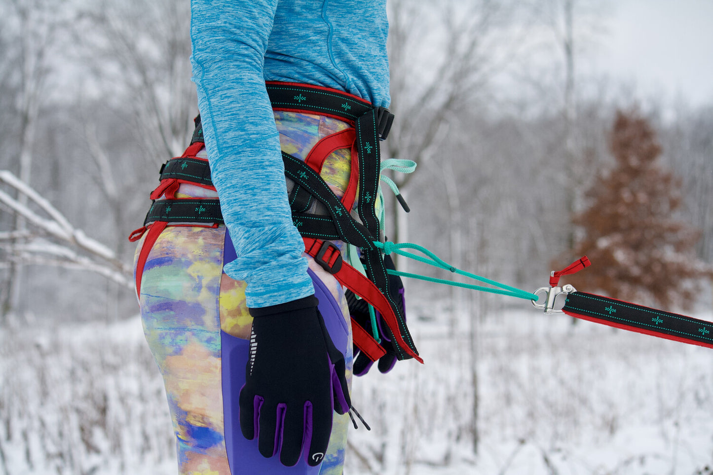 musher TAKOTNA Belt