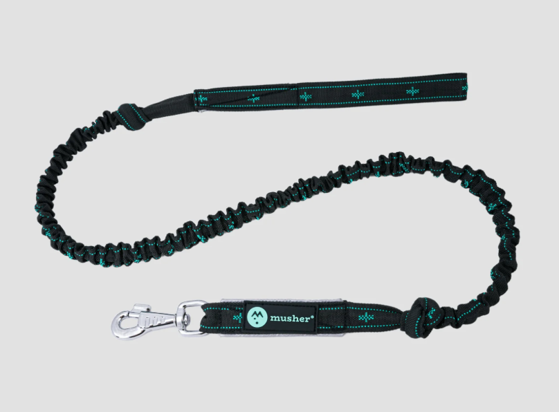 TAKOTNA bungee leash