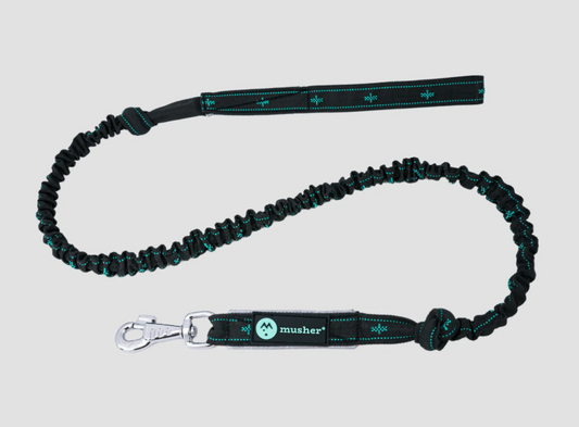 TAKOTNA bungee leash