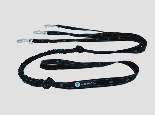 musher KOYUK bungee leash - 3 Dogs