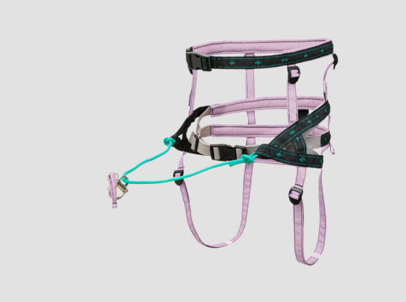 musher TAKOTNA Belt