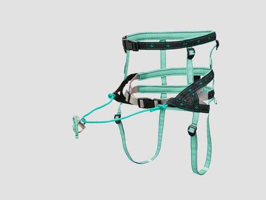 musher TAKOTNA Belt
