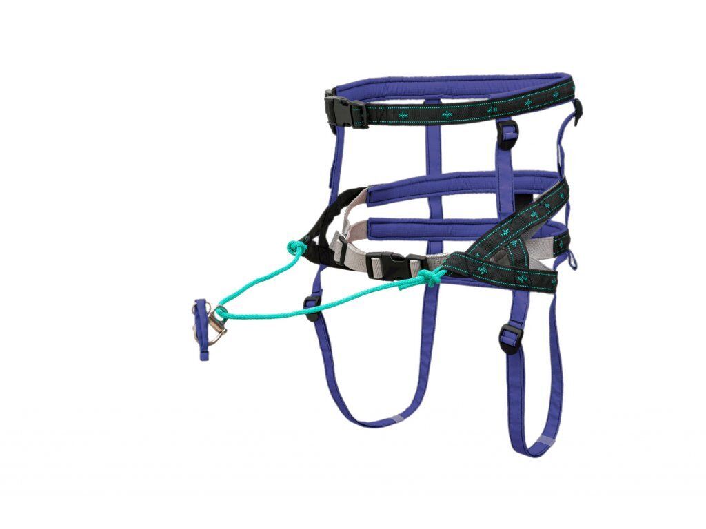 musher TAKOTNA Belt